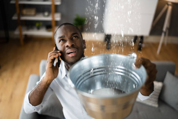Best Emergency water extraction  in Catawissa, PA