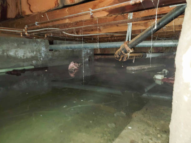 Best Flooded house restoration  in Catawissa, PA
