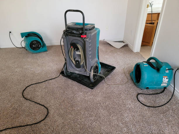 Best Carpet water damage restoration  in Catawissa, PA