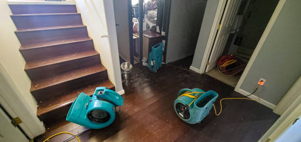 Best Water damage restoration near me  in Catawissa, PA
