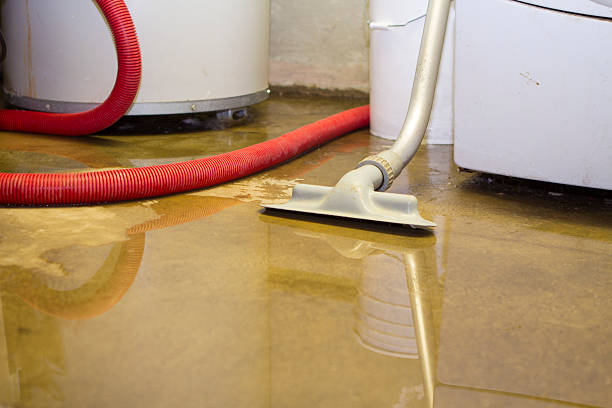 Best Professional water damage repair  in Catawissa, PA