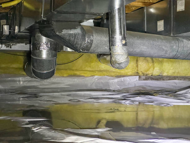 Best Water damage contractors near me  in Catawissa, PA