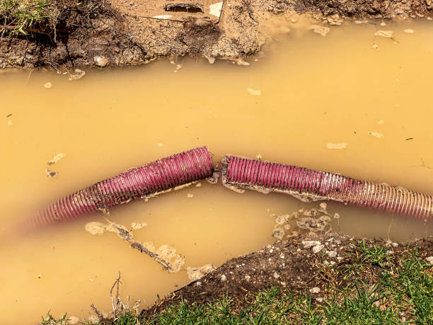 Best Residential water damage restoration  in Catawissa, PA