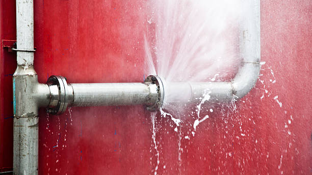 Best Water damage restoration company  in Catawissa, PA